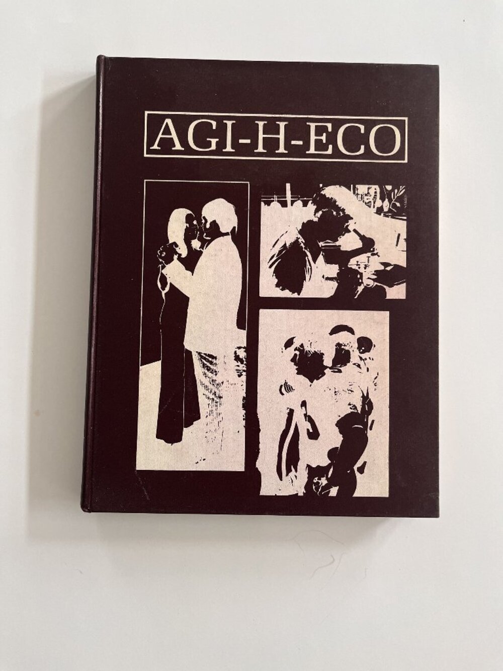 1971 Agi-H-Eco Hamilton High School Hamilton, Alabama Yearbook